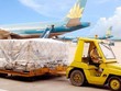 Dịch vụ Hàng hóa Nội Bài (NCT) chốt quyền trả cổ tức đợt 3/2020, tỷ lệ 15%