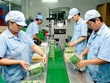Dược phẩm OPC (OPC) chốt quyền trả cổ tức đợt 1/2021 bằng tiền, tỷ lệ 10%