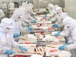 Nam Việt - Navico (ANV) lãi ròng giảm 37% trong năm 2021, đạt 127,9 tỷ đồng