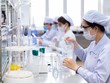 Dược Hậu Giang (DHG) báo lãi 776,3 tỷ đồng trong năm 2021, tăng 5%