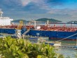 Vitaco (VTO) báo lãi 129,3 tỷ đồng trong quý IV chủ yếu do thanh lý tàu