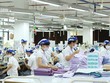 Vinatex (VGT): Lãi ròng năm 2021 tăng 134%, đạt 1.312,5 tỷ đồng