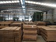 Cổ phiếu SJF của Sao Thái Dương được ra khỏi diện cảnh báo từ ngày 15/4