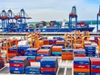 Gemadept (GMD) sắp chào bán hơn 100,45 triệu cổ phiếu để tăng vốn, giá 20.000 đồng/CP