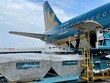 Dịch vụ Hàng hóa Nội Bài (NCT) chốt quyền trả cổ tức còn lại năm 2021 tới 63%