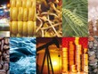 Thị trường hàng hóa tuần 14-18/9: Giá nhiều loại mặt hàng tăng