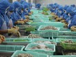 Thu nhập của người lao động tăng thấp nhất trong nhiều năm trở lại đây