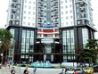 OGC chuyển lãi sang lỗ sau soát xét
