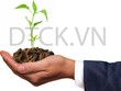 Nhận định thị trường phiên 19/9: Chú ý nhóm Bất động sản, Cảng biển và Dầu khí
