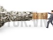 Big_Trends: Nhiều cổ phiếu sẽ là tâm điểm hút dòng tiền