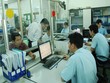 Chính thức ưu tiên về hải quan cho các DN đủ điều kiện