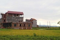 Ảnh Internet