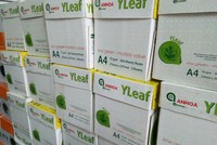 Hai bên tranh chấp hợp đồng phân phối giấy An Hòa