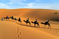 5 trải nghiệm trên sa mạc không nên bỏ lỡ ở Dubai