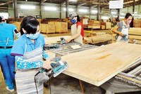 Dù được cứu nhưng TTF vẫn trong khả năng bị hủy niêm yết bắt buộc