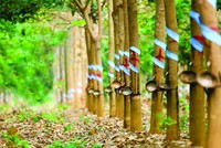 Công bố thông tin sai lệch, công ty của bầu Đức bị phạt 255 triệu đồng, buộc phải cải chính thông tin