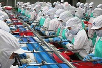 Năm 2018, Thủy sản Minh Phú (MPC) đạt hơn 750 triệu USD doanh thu xuất khẩu