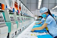Gilimex (GIL) lên phương án chia cổ tức 20% bằng cổ phiếu