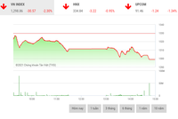 Giao dịch chứng khoán chiều 23/8: VN-Index thủng mốc 1.300 điểm, cổ phiếu chứng khoán đọ sắc tím