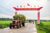 Ảnh Internet