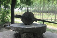Đại gia Đồng Nai chi 160 triệu đồng mua chiếc cối đá 2 tấn về ngắm