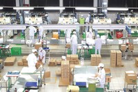 Thích ứng để bơi ra đại dương xanh