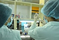 Nhân viên Công ty trách nhiệm hữu hạn một thành viên vaccine và Sinh phẩm số 1 (VABIOTECH) thử nghiệm định lượng protein trong vaccine ngừa COVID-19. (Ảnh: Minh Quyết/TTXVN).