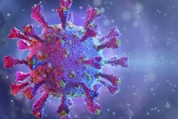 Đồ họa về virus SARS-CoV-2. Nguồn: ShutterStock.
