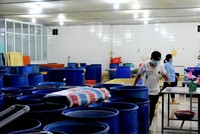 Ngày 07/8/2021, kiểm tra phát hiện Công ty TNHH MTV Thủy sản Chấn Nam hoạt động trái phép trong thời gian giãn cách xã hội phòng, chống dịch Covid-19. (Ảnh: Cổng điện tử tỉnh Cà Mau).