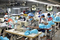 Gần 100 nghìn người lao động được xác nhận tạm dừng đóng vào quỹ hưu trí và tử tuất