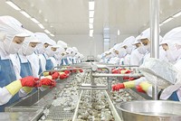 Thông tin trả cổ tức được đưa ra từ hồi tháng 7 khiến giá cổ phiếu MPC tăng ngoạn mục từ mức dưới 40.000 đồng/CP lên 80.000 đồng/CP hiện nay.