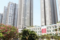 Những đại gia mới nổi như Novaland được hứa hẹn sẽ làm chủ cuộc chơi của thị trường bất động sản phía Nam trong thời gian tới - Ảnh: Lê Toàn