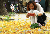 Vài nét Thu