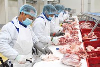 BaF: doanh nghiệp chăn nuôi hiện đại theo mô hình 3F khép kín