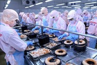 Minh Phú (MPC) dự kiến góp thêm vốn vào công ty Sản Xuất Giống Thủy Sản Minh Phú