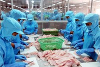 Cổ phiếu Vĩnh Hoàn (VHC) tăng 35,1%, lãnh đạo và người thân đồng loạt đăng ký bán ra