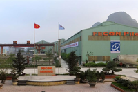 FECON (FCN): Thêm một người thân lãnh đạo đăng ký bán ra cổ phiếu