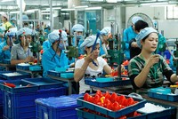 Cần có các ưu đãi thuế cụ thể hơn cho doanh nghiệp vừa và nhỏ mới khởi nghiệp