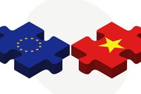 Khẩn trương hoàn thiện khung khổ pháp luật thực thi Hiệp định EVFTA