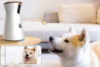 Furbo - camera thông minh cho cún yêu