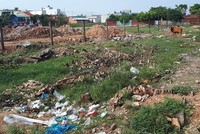 Đất nông nghiệp vùng ven TP.HCM dậy sóng sau quyết định tách thửa mới