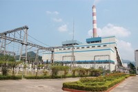Ảnh Internet.
