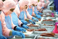 Thực phẩm, nông sản, thủy sản... là những mặt hàng chịu sự kiểm soát ngặt nghèo về kiểm dịch.