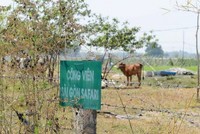 TP.HCM: Kiểm điểm nhiều đơn vị liên quan đến dự án Sài Gòn Safari