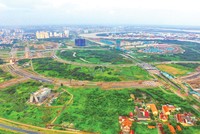 TP.HCM muốn triển khai lập quy hoạch hàng loạt dự án quy mô lớn