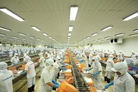 Doanh nghiệp Việt Nam xuất khẩu nông sản sang EU phải sử dụng chứng thư điện tử