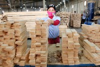 Cục Phòng vệ thương mại cho biết, hiện có 12 mặt hàng xuất khẩu có thể có nguy cơ bị điều tra tại các thị trường Hoa Kỳ, EU.