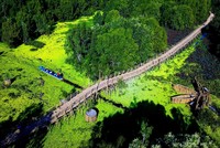 Cầu tre Trà Sư sử dụng trên 500.000 cây tre làm vật liệu để xây dựng