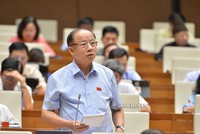 Chủ tịch Hiệp hội Doanh nghiệp nhỏ và vừa Việt Nam, đại biểu Nguyễn Văn Thân (Thái Bình) phát biểu tại hội trường.