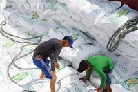 Thực thi EVFTA, EU cam kết dành cho Việt Nam xuất khẩu 80.000 tấn gạo vào thị trường này với thuế suất 0%. Ảnh: Đức Thanh